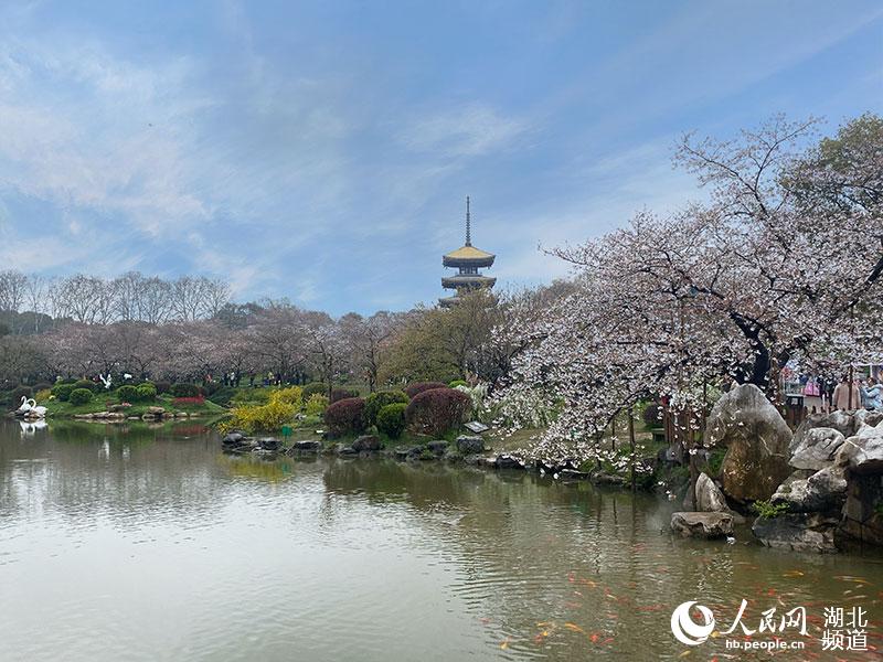 20210312161530990.jpg LOCAL202103120757000061352166282.jpg