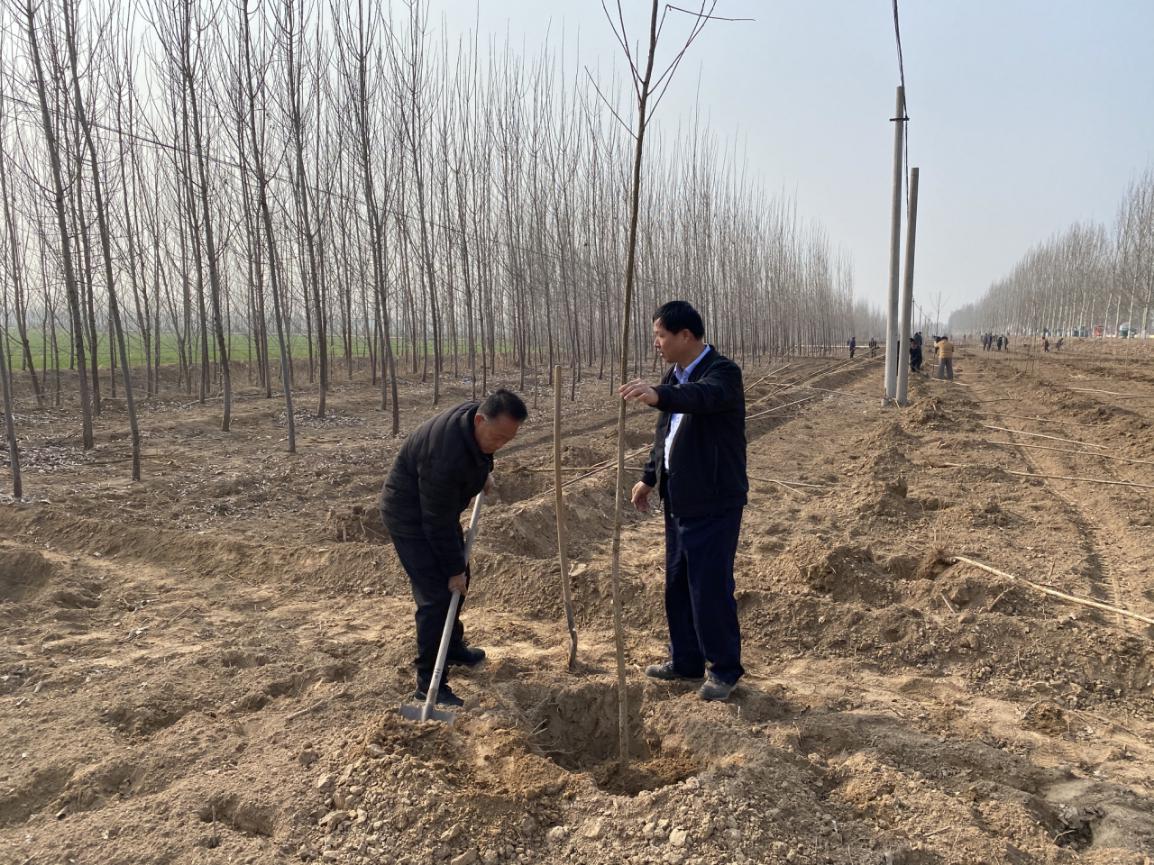 春风催新绿 植树正当时——农发行禹城市支行开展植树活动