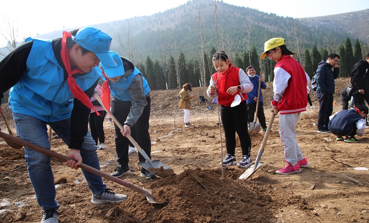 同植一片绿，共享碧水蓝天  中建八局二公司设计研究院携手济南经五路小学开展义务植树活动
