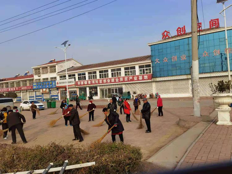 禹城市辛寨镇：“巡检员”扮靓辛寨人居环境新“名片”