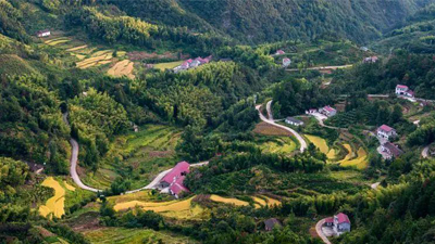 安徽创新推出 “林长制国元护林保”