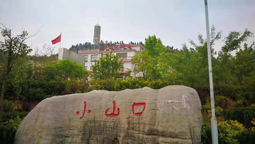 【沂蒙村庄故事】小山口村：老槐树的长情守望