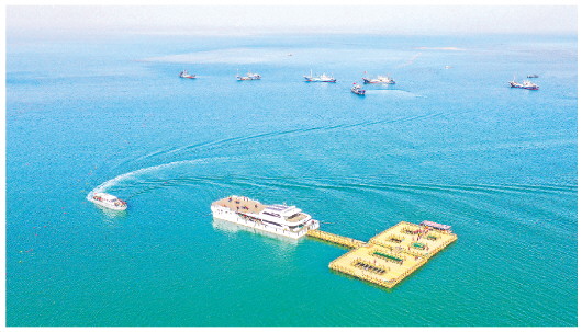 山东荣成：“海上人家”迎客来