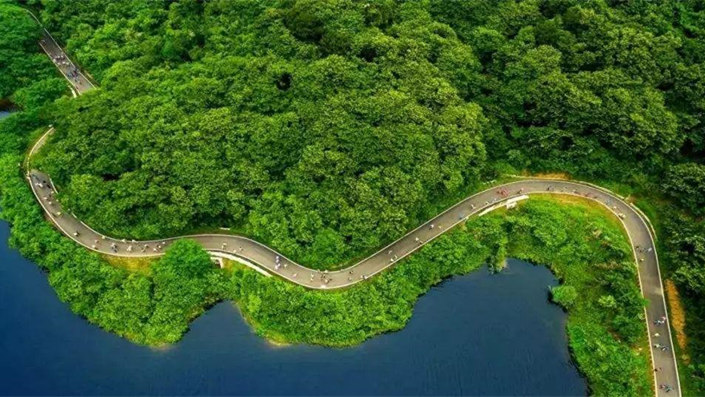 安徽：长江淮河等四条生态廊道五年将增绿近40万亩