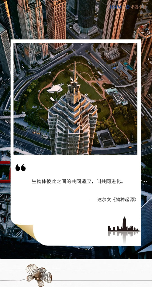 进化之路|金茂府的超级力量，让生活更安心