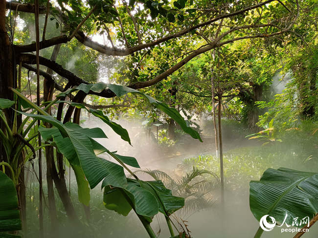 20210401153557261.jpg LOCAL202103311810000596469803266.jpg