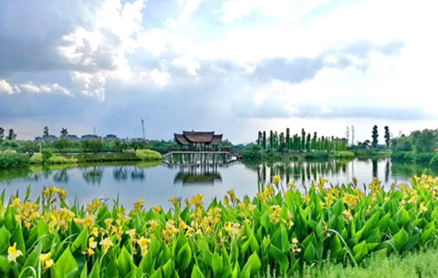 沪苏浙皖四地林业部门推进长三角湿地保护