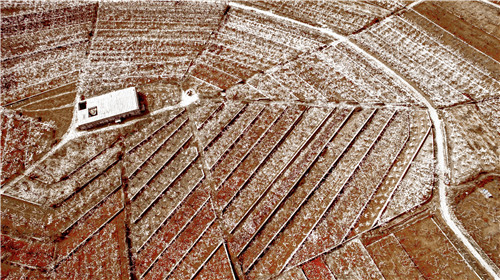 时家村：荒山野岭上描绘乡村美景