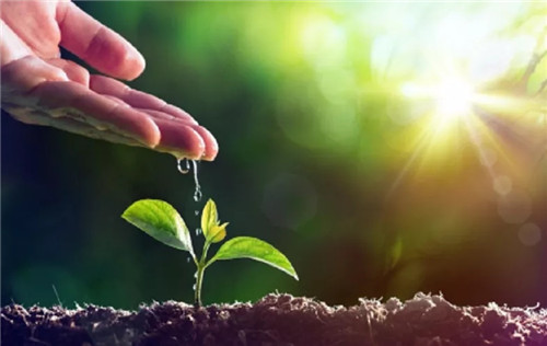 语文泰斗崔峦教授要来临沂啦！“童心向党”手抄报征稿火热进行中