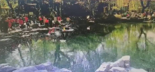 大赞！菏泽小伙济南趵突泉公园勇救落水老人！