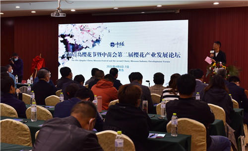首届青岛樱花节暨中苗会第二届樱花产业发展论坛顺利举办