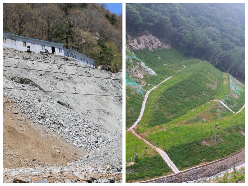 20210408111711879.jpg LOCAL202104071118000310379064009.jpg