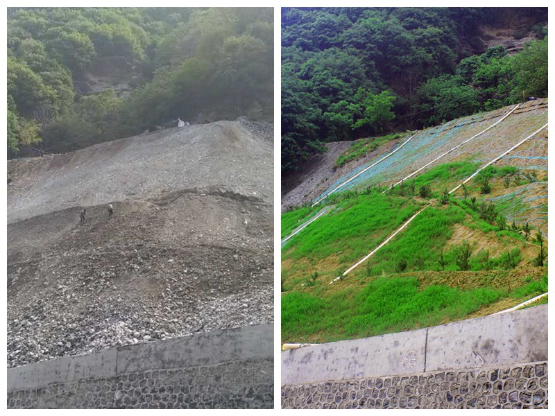 20210408111731386.jpg LOCAL202104071122000379452724203.jpg