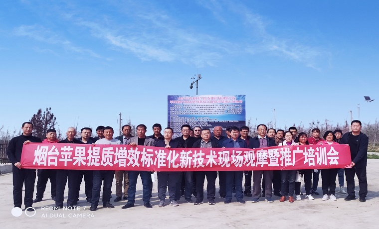 把苹果生产新技术送到农民手上 烟台苹果提质增效标准化新技术现场观摩暨推广培训会在栖霞举办