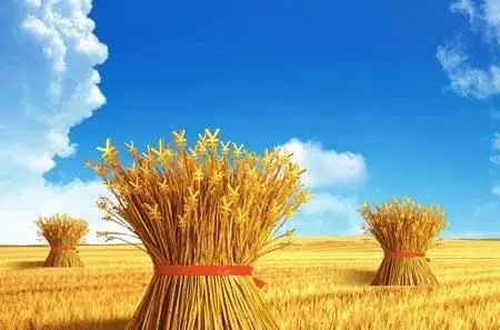 内蒙古伊金霍洛旗设立共同富裕资金——工业反哺农业支持乡村振兴