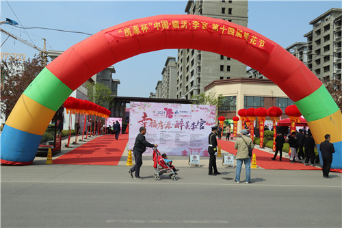 临沂后花园带来别样春天：中国李官第十四届桃花节“云开幕”