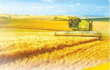 脱贫县将延续执行统筹整合使用财政涉农资金试点政策