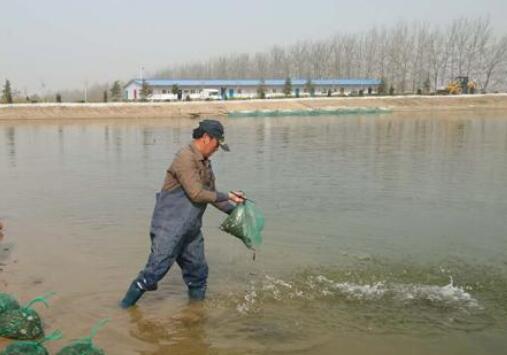 最高100万！福建148个乡镇获奖补