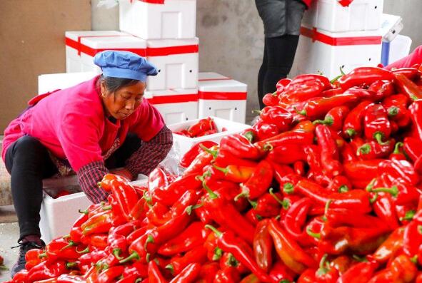 “淮味千年”引领江苏淮安农业高质量发展