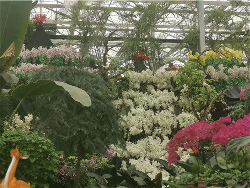 对策、对标、对接：兰陵着力打造长三角休闲旅游“后花园”