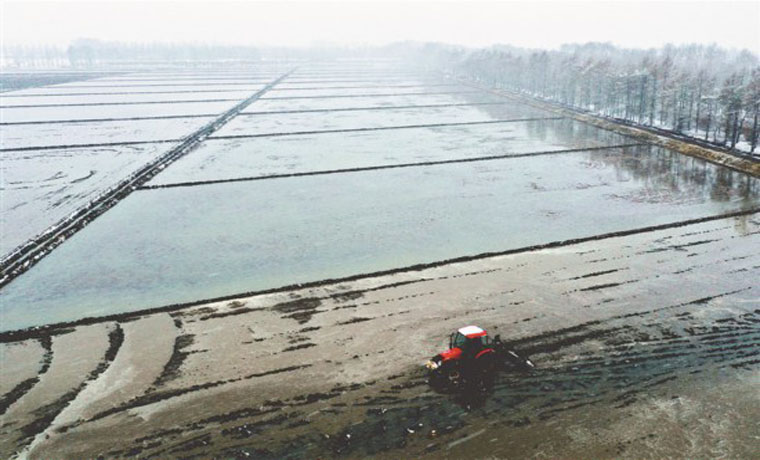 从无人机看高标准水田机械化整地