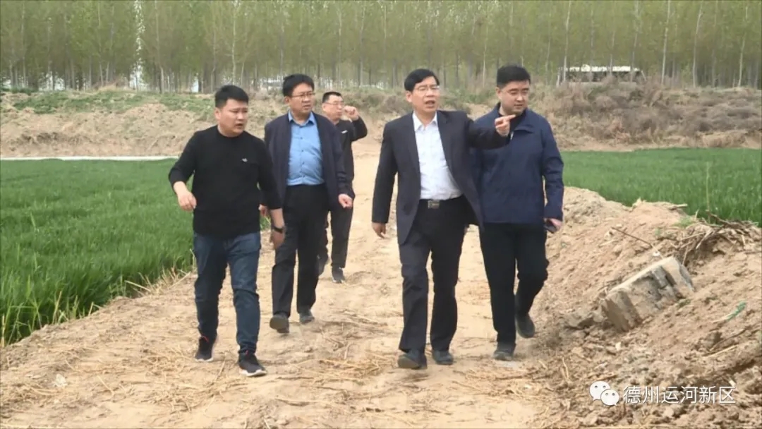 德州运河新区：抓紧抓实省级生态环境保护督察交办问题整改 扛起生态环境保护重大政治责任