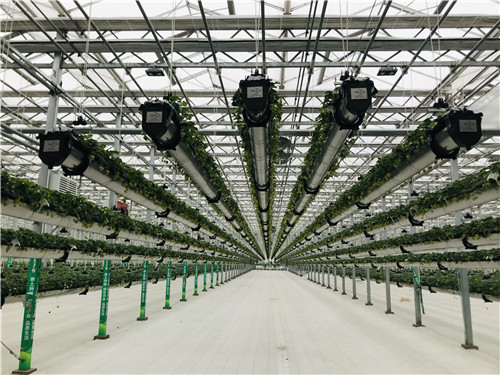 大数据赋能：临沂传统农业有了现代智慧“脑”