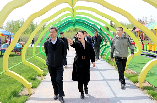 孙孝建一行到郯城县胜利镇调研第一书记任职工作