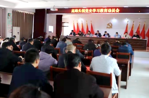 郯城县高峰头镇扎实开展党史教育