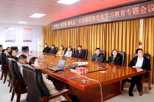 郯城县红花镇团委党史教育形式多样
