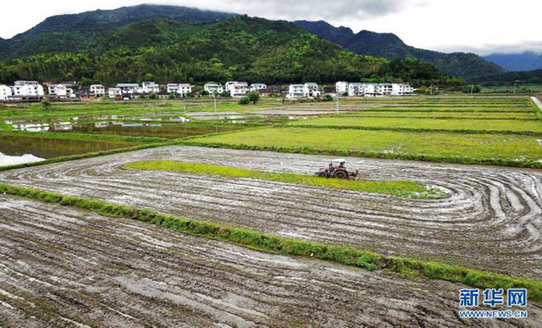 福建武夷山：产业依托 文旅赋能 促进乡村振兴
