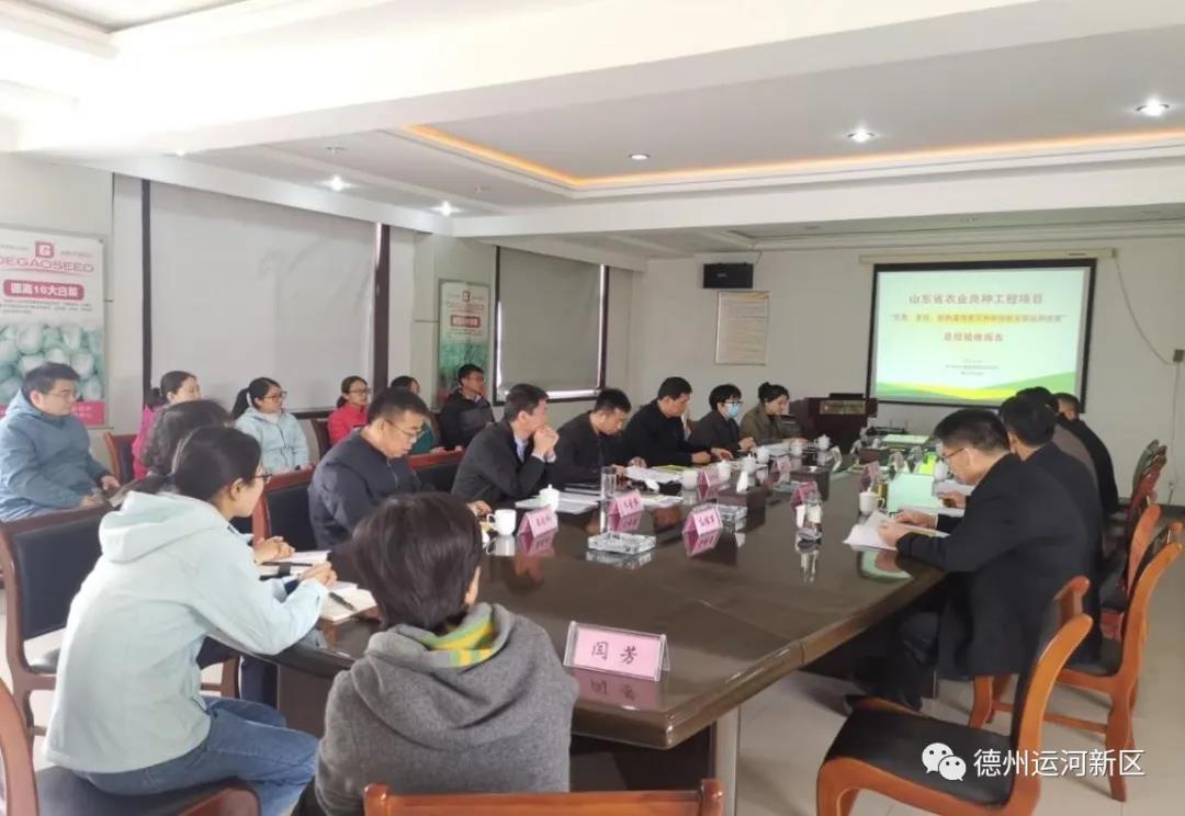 项目推进｜德州运河新区德高蔬菜良种工程项目顺利通过验收