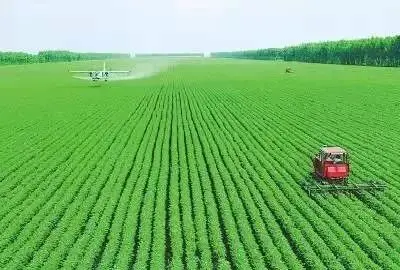 一季度中国经济持续稳定恢复 市场保供稳价基础牢