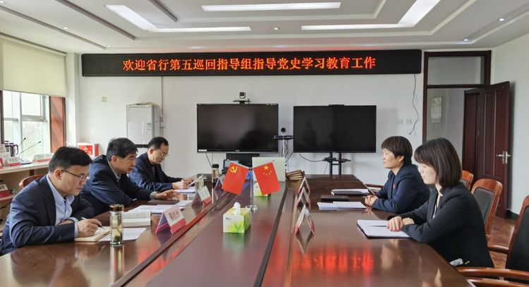巡回指导 推动农发行禹城市支行党史学习教育走深走实