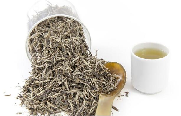 “量身定体”，福建福鼎打造白茶产业发展高地