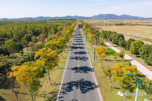 全力推动我市农业三产融合发展