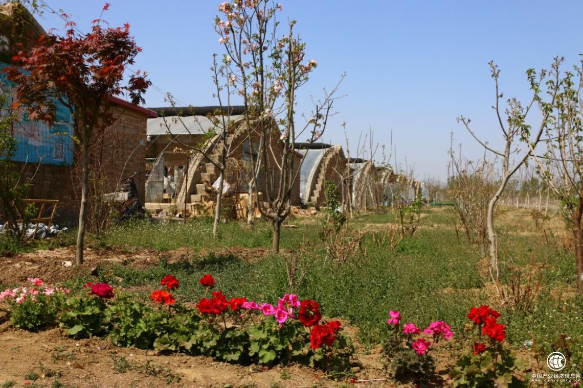 村庄里的“花草之都”怎样做深“花草”文章 ——绿京华科研生产基地
