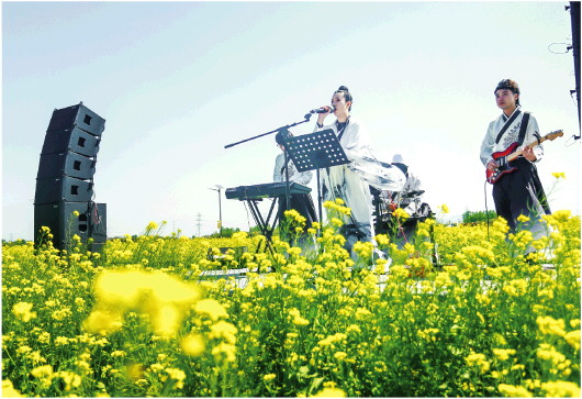 平陵田园赏花季启动 赏油菜花海 品“龙山味道”