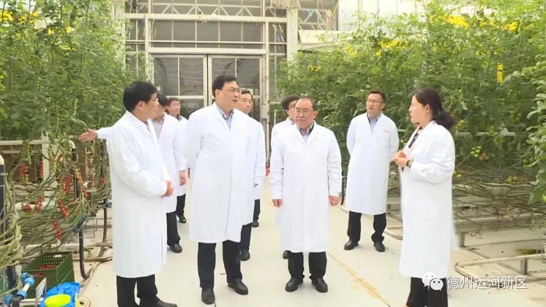 王金城到德州运河新区调研