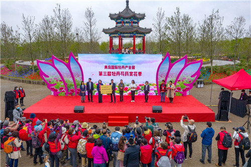 第三届青岛国际牡丹产业园牡丹芍药赏花季今日启幕