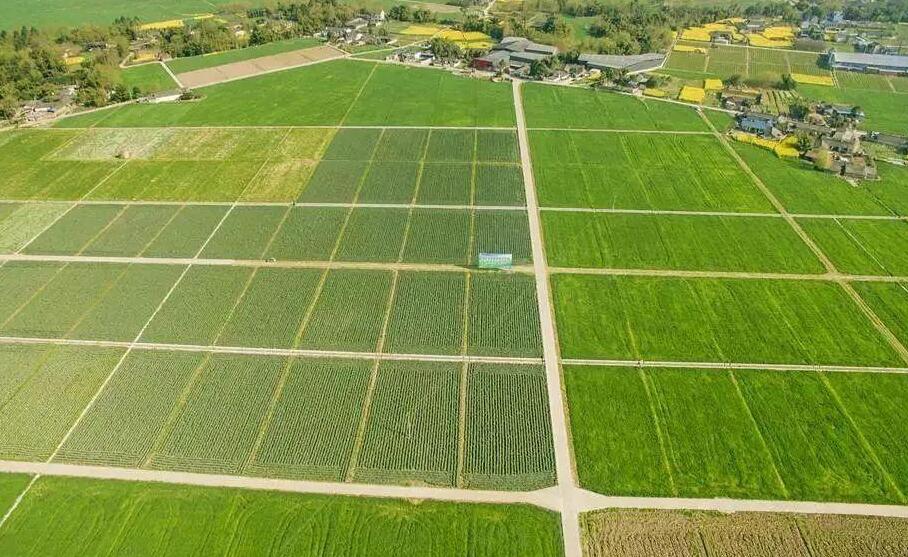 “皖粮”高标准农田改造提升工程启动