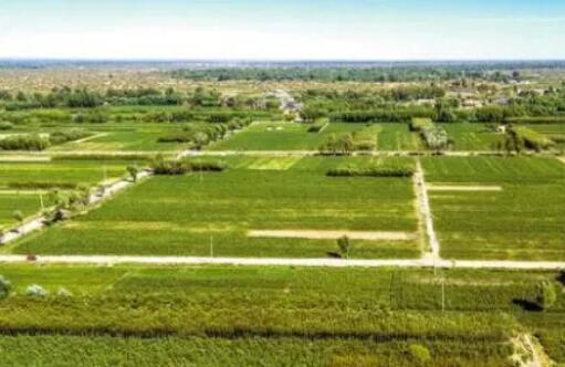 “十四五”时期我国将加快构建现代农村产权制度