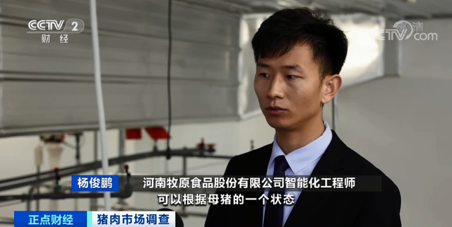 跌破15元！猪肉价格坐“滑梯”，创19个月新低！未来价格怎么走？