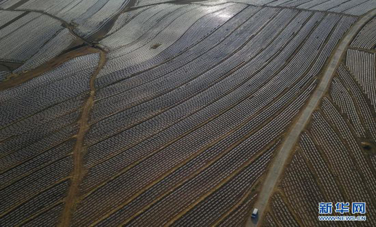 河北围场：“马铃薯之乡”农田景美如画