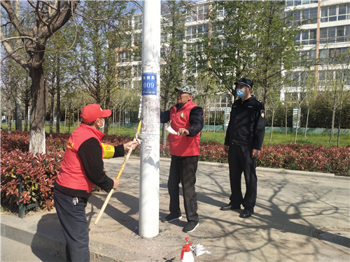 青岛胶州市综合行政执法局持续提升全域全要素环境精细化管理水平