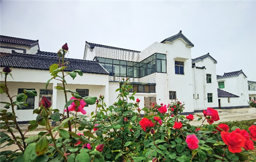 花期已至，美哉美栖——来美栖村赴一场美美的约会