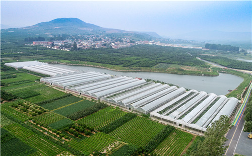 山亭区冯卯镇乡村振兴之花“结出新果实”