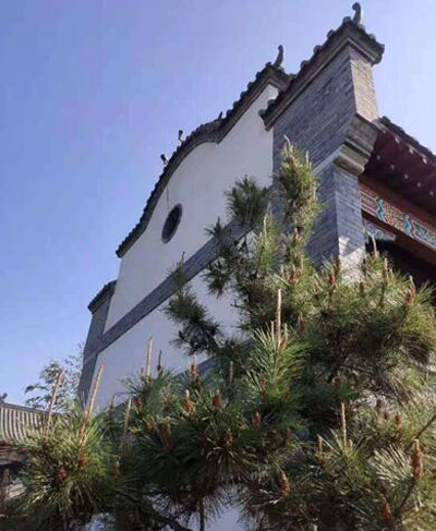 20210503174301232.jpg 10.jpg