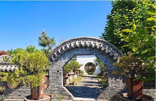 20210503174340232.jpg 11.jpg