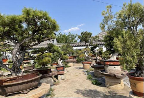 20210503174421232.jpg 13.jpg